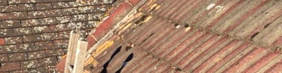 other services photo